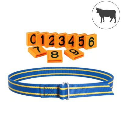 Collier pour bovin avec plaque numérotée