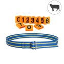 Photo : Collier vache identification Aucune