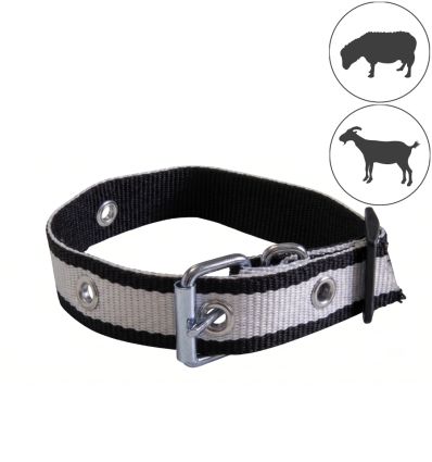 Collier chèvre et mouton réglable