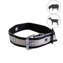 Photo : Collier chevre et mouton
