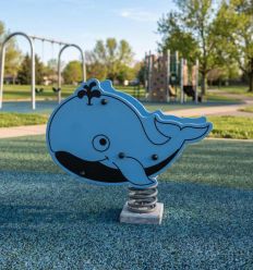 Mise en situation Jeux sur ressort Baleine Modèle 1