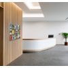 Panneau mural perforé pour brochures