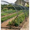 filets pour jardin contre les oiseaux ravageurs