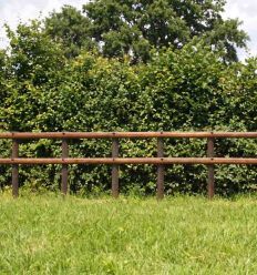 Poteau bois pour cloture equestre
