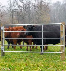Barriere de paturage bovin et équin; extensible de 3 à 4 m