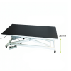 Table vétérinaire électrique fixe PEHD