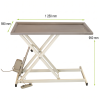 Table éléctrique chirurgie veterinaire