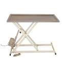 Photo : Table de chirurgie veterinaire