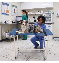 Brancard animaux veterinaire