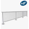 Photo : Garde corps F76 métal ECO - 6 mètres - Pont ou Bordure À sceller - Kit de départ (2 pieds)