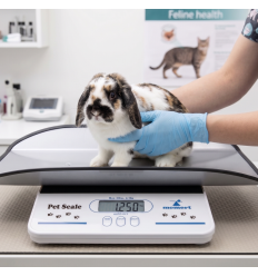 Balance vétérinaire petits animaux