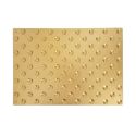 Photo : Bande Podotactile Aluminium anodisé Laiton à visser 600 x 412 mm