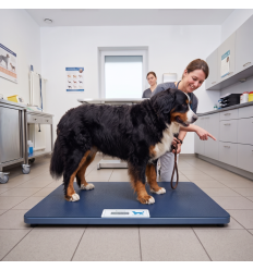 Grande balance vétérinaire grand chien