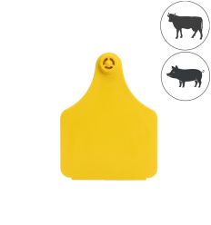 Boucle vache et porc large - femelle