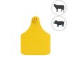 Boucle vache et porc large - femelle