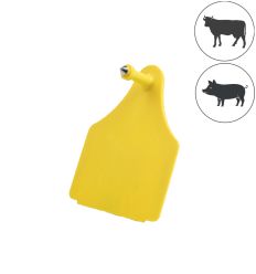 Boucle d'identification mâle pour bovin et porcin