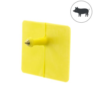 Boucle mâle pour cochon