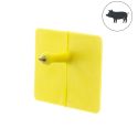 Photo : Boucle porc mâle - Large - Lot de 100 Sans personnalisation