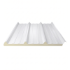 panneau sandwich toit 30mm RAL 9010