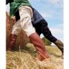 Bottes chambord aigle