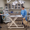 Table chirurgicale veterinaire