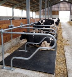Logette classic pour vaches