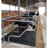 Logette classic pour vaches