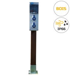 Borne de camping bois autoclave 2 prises