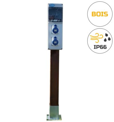 Borne de camping bois autoclave 2 prises