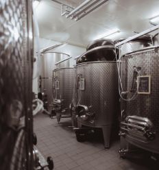 Cuve pour vinification - chai - photo non contractuelle