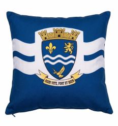 Coussin pour inauguration