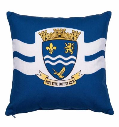 Coussin pour inauguration