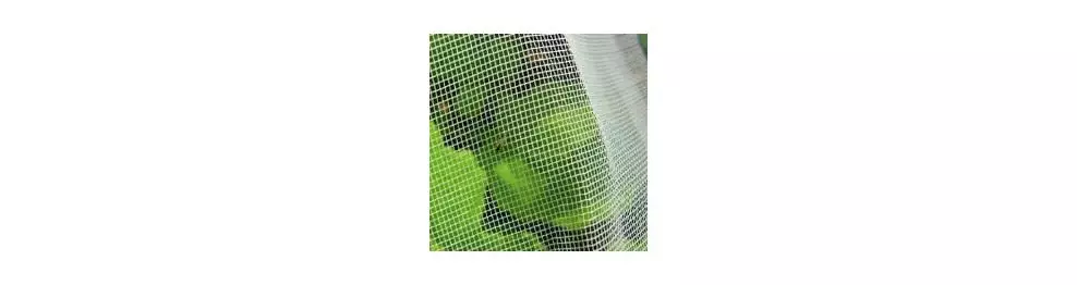 Filet anti insecte agricole