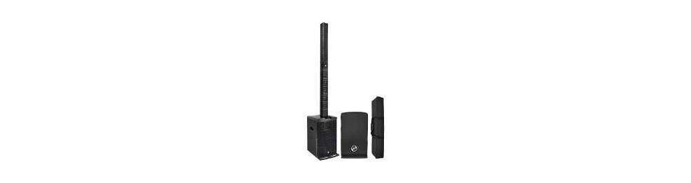 Enceinte professionnelle